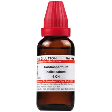 https://cdn.shopify.com/s/files/1/1857/6931/products/AzM8uNR26V.jpg?v=1641451364